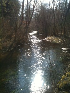 Walking the dog is a great mind bending exercise. You can really bend your thoughts across time and space OR be really in the moment if you want to. 